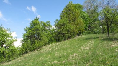 Jarní botanickomykologická exkurze