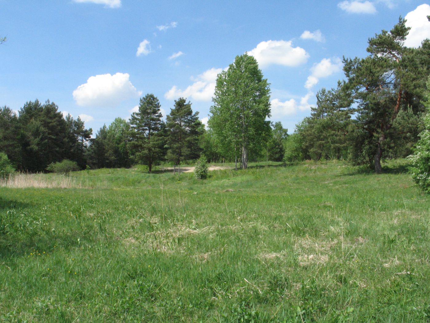 Výběrová řízení na odborné pracovní pozice