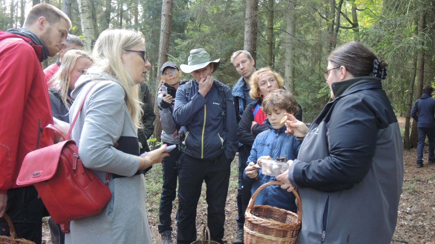 Výběrová řízení na odborné pracovní pozice