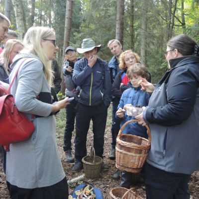 Podzimní mykologickobotanická exkurze